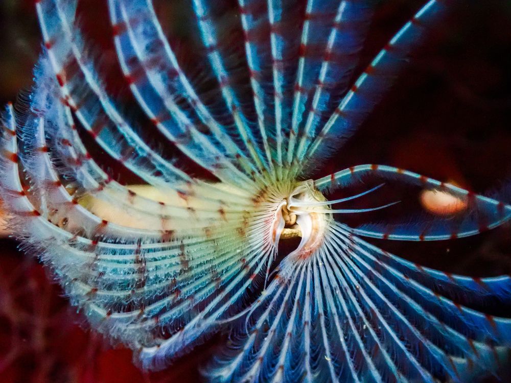 Photograph by Всеволод