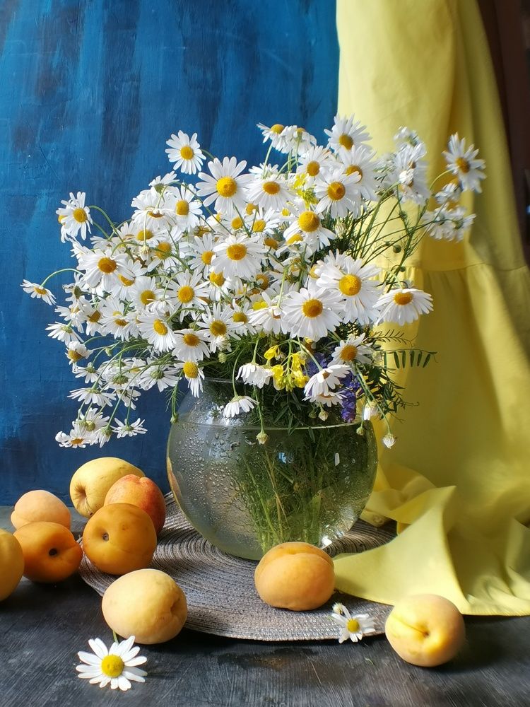 Photograph by Ирина Ветюгова