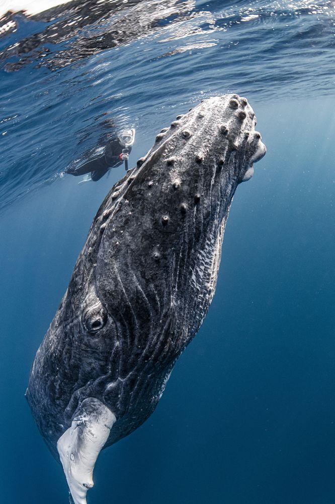 Photograph by KURASHIMA DAISUKE