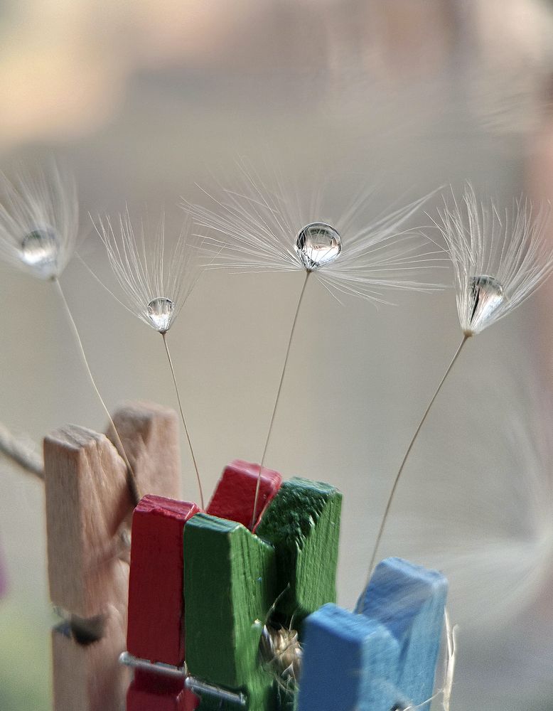 Photograph by Наталья Шумилова