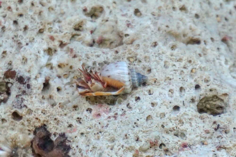 Photograph by Andrew Altarejos