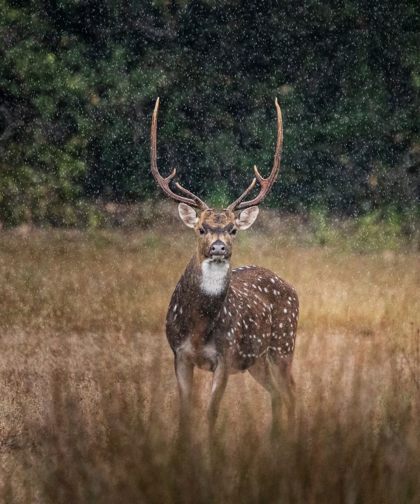 Photograph by Vinura Rajapakshe