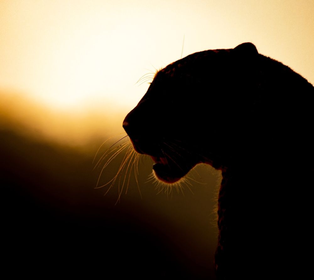 Photograph by Vinura Rajapakshe