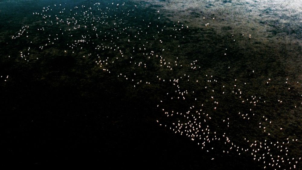 Photograph by Rajiv Basu