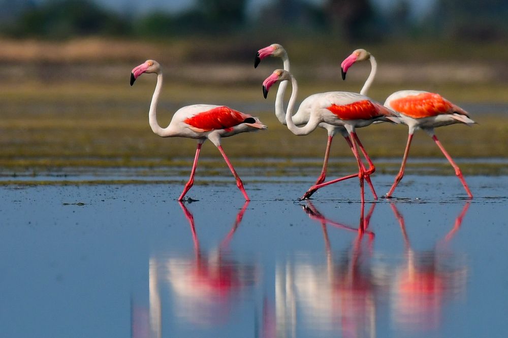 Photograph by Rajiv Basu