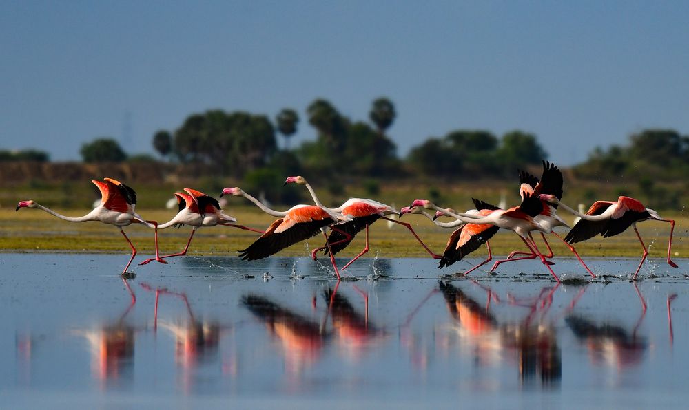 Photograph by Rajiv Basu