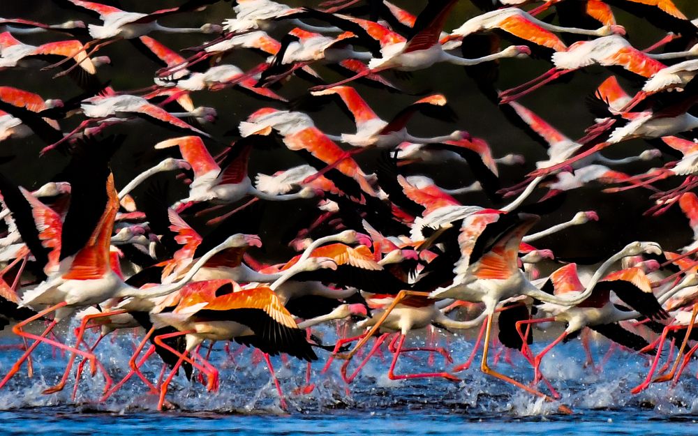 Photograph by Rajiv Basu