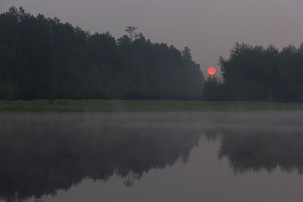 Photograph by Anna Gapanovich