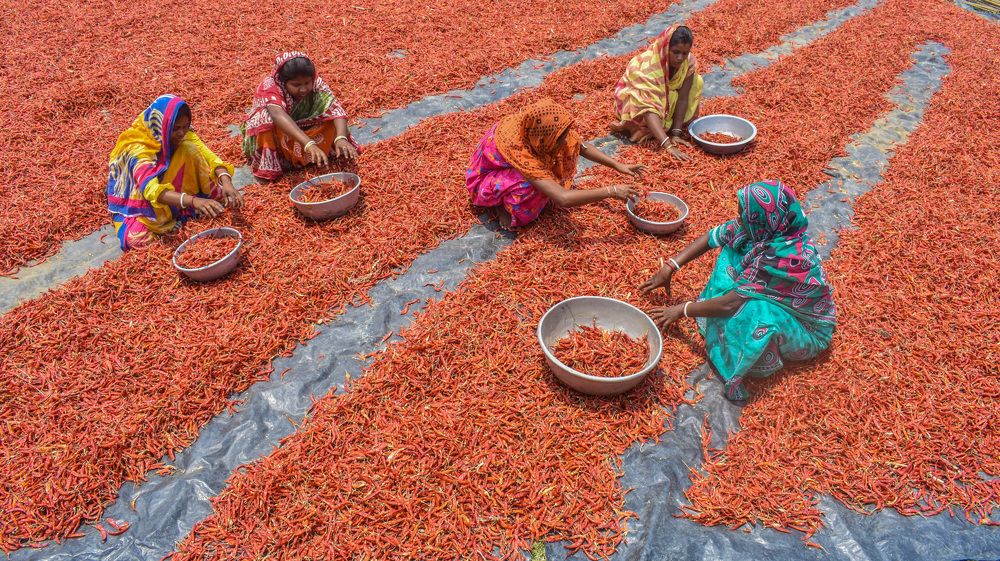 Photograph by Debanjan Das