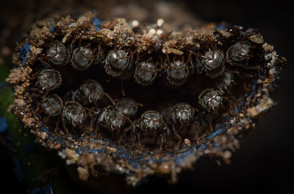 Photograph by Vinura Rajapakshe