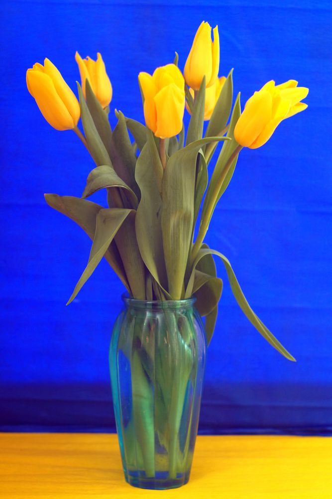 Photograph by Юля Хатыпова