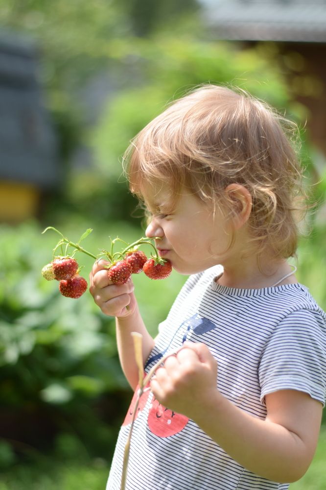 Photograph by Юля Шуравенкова