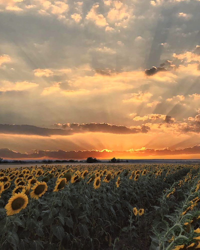 Фотография автора Наталья Алексеева