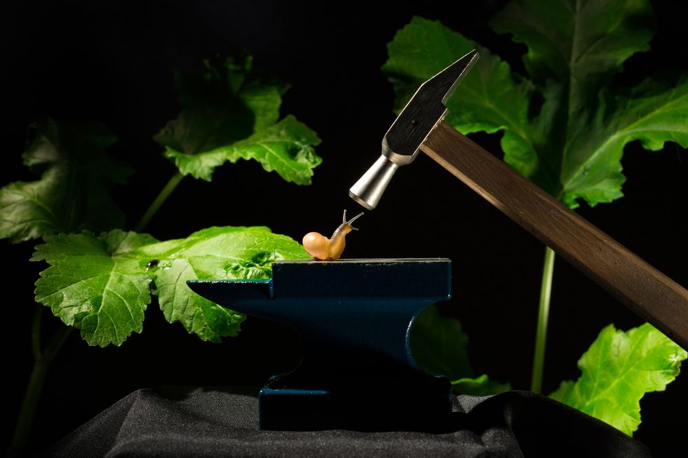 Photograph by Ангела Честнова