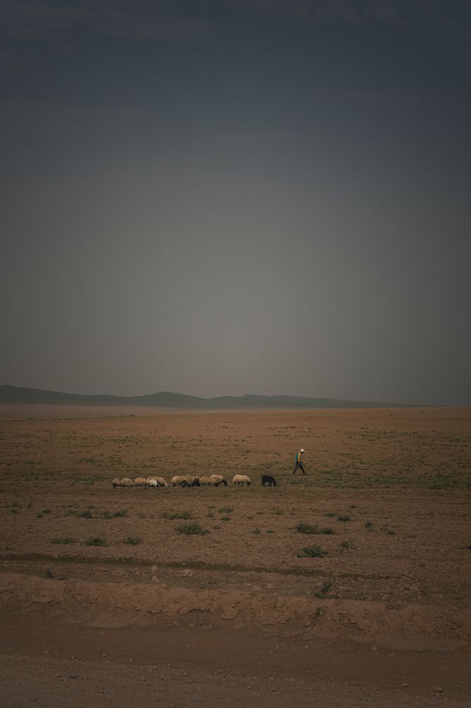 Photograph by Ramiar Dilshad