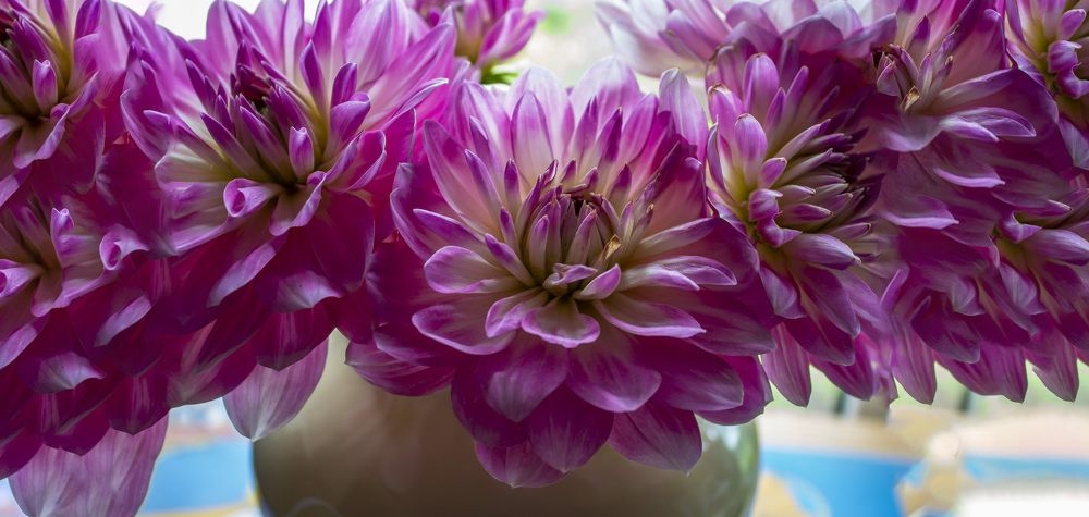 Photograph by  Vladimir