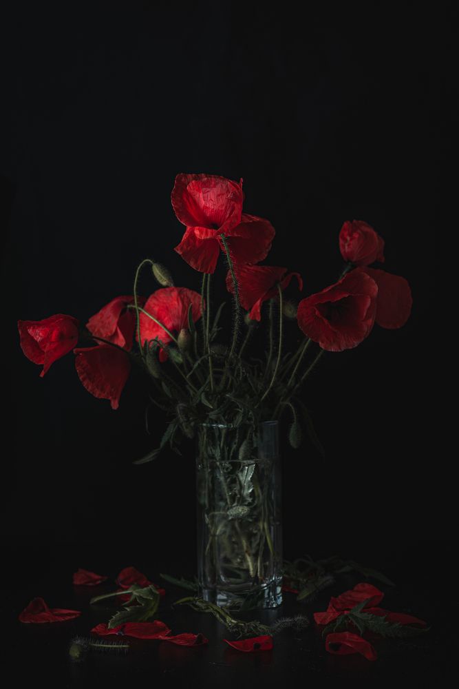 Photograph by Вадим Петренко