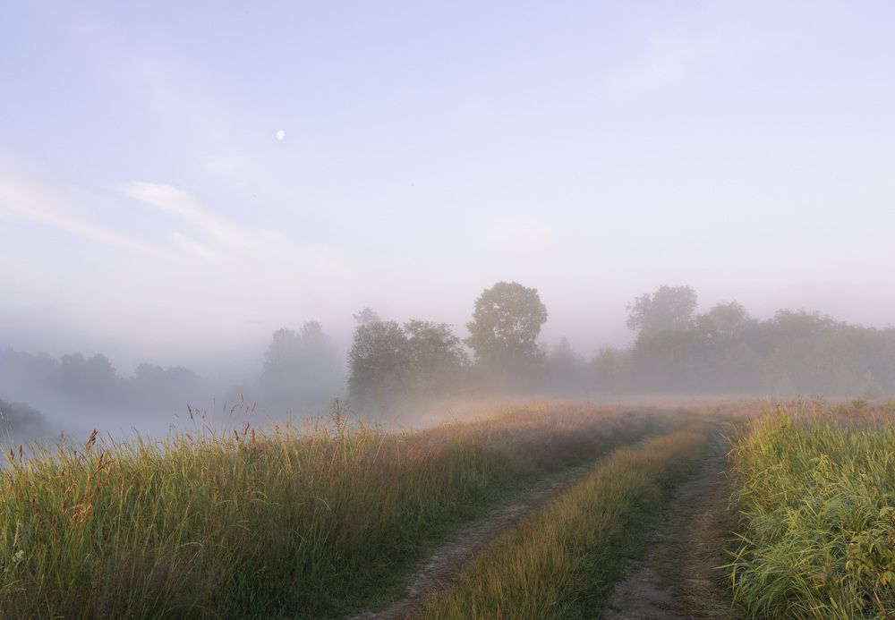 Фотография автора Ольга Бонина