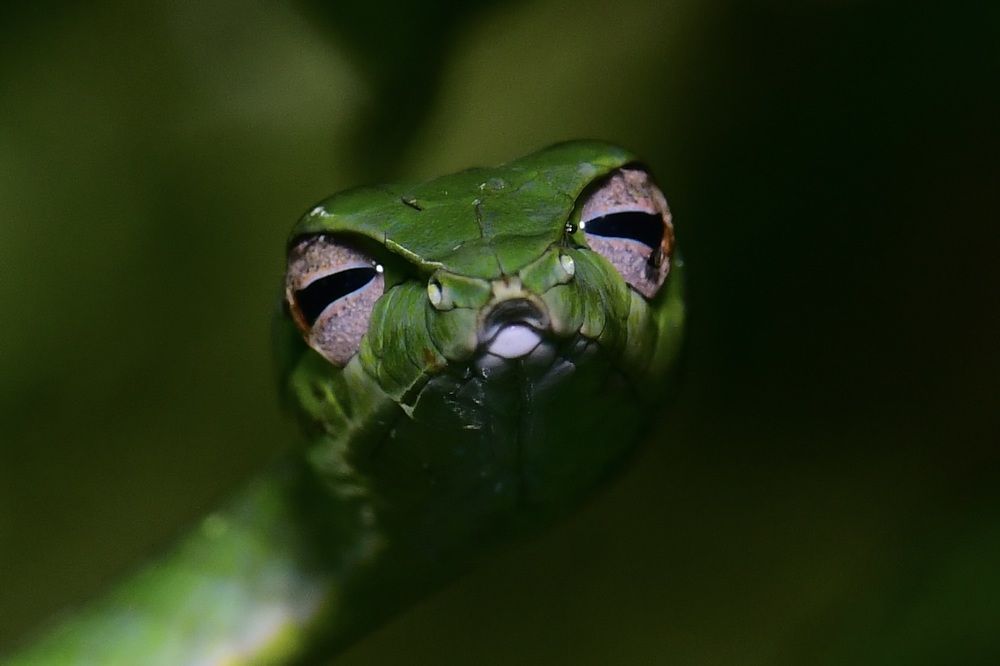 Photograph by Rajiv Basu