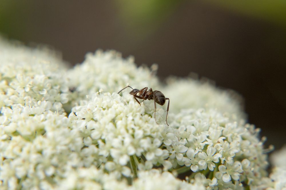 Photograph by Алексей Макаров