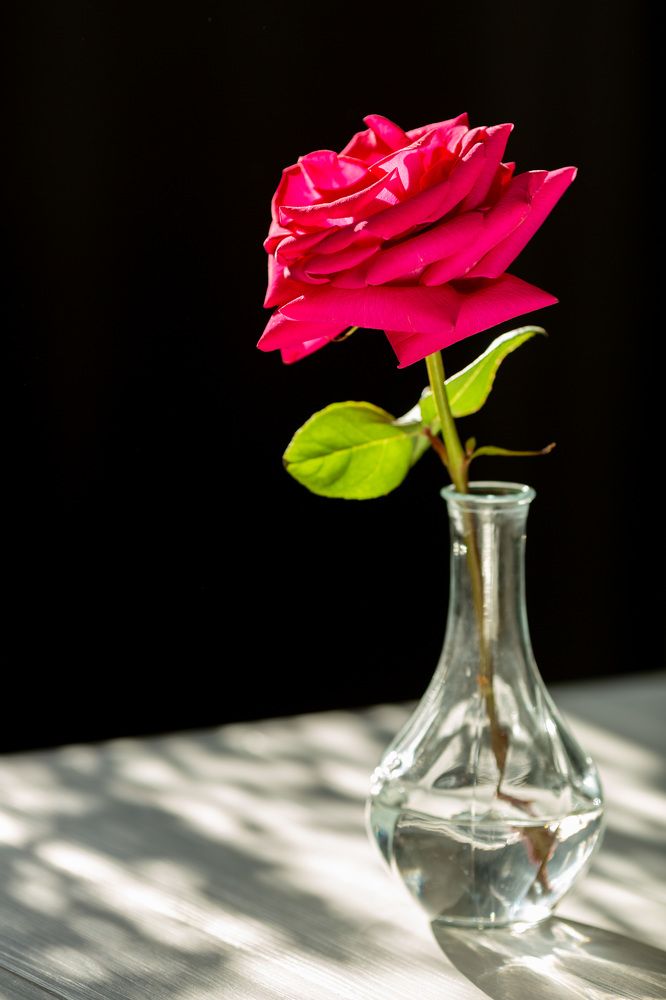 Photograph by Наталья Угрюмова