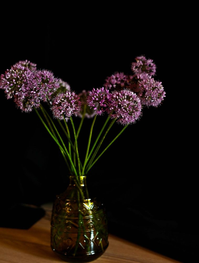 Photograph by Татьяна Пахатинская