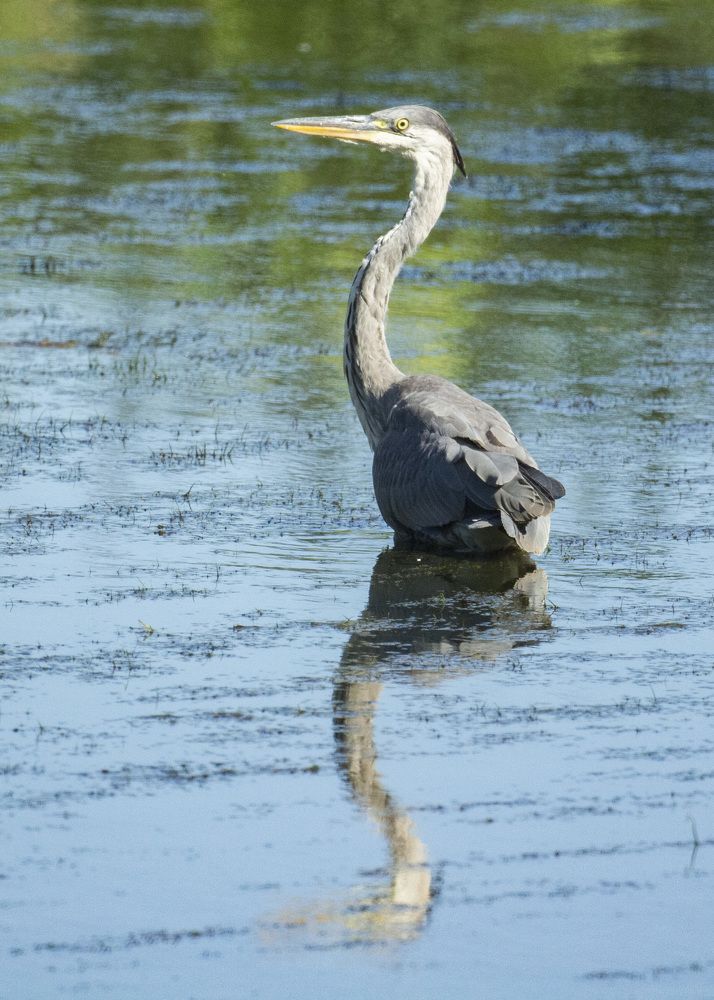 Photograph by Алексей Борисов