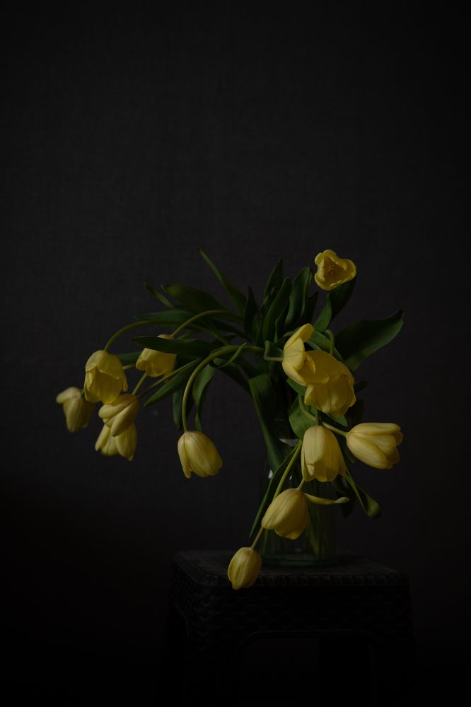 Photograph by Наталья Рогова