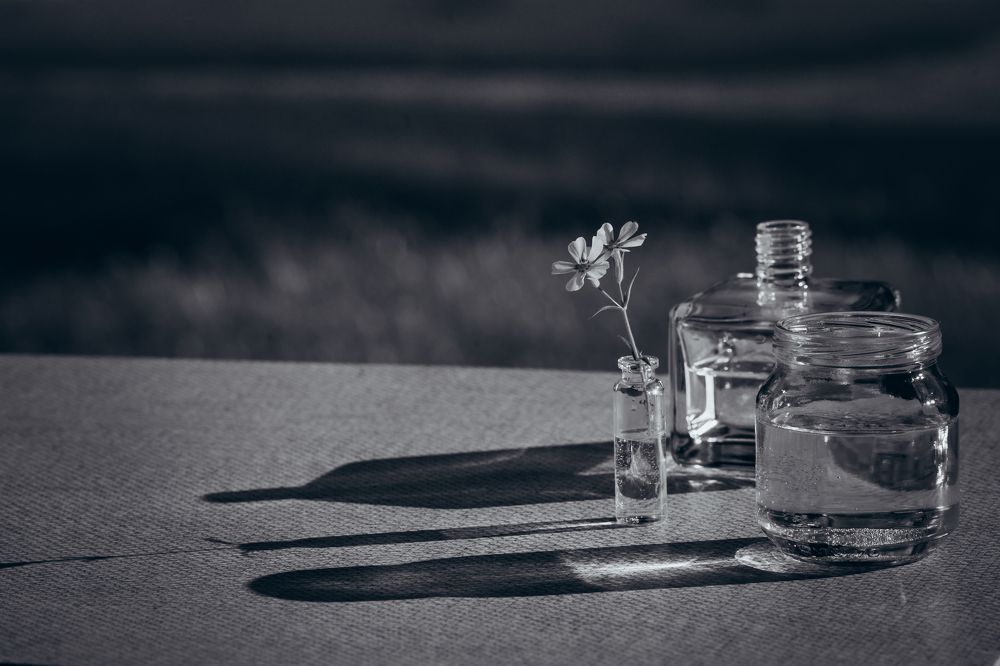 Photograph by Ольга Рачилова