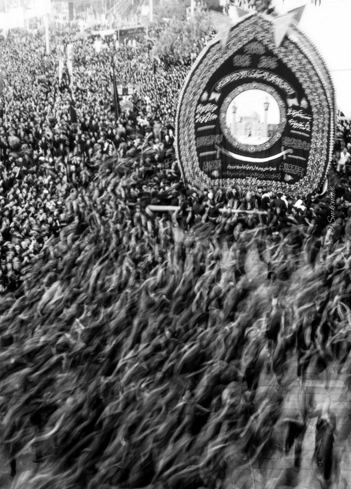 Photograph by S.Mahdi Khamesi