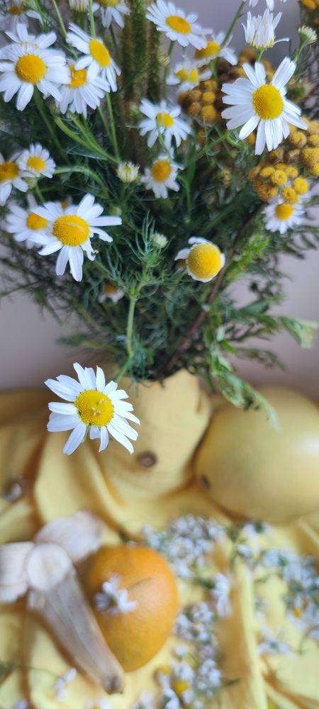 Photograph by Наталья Саенко