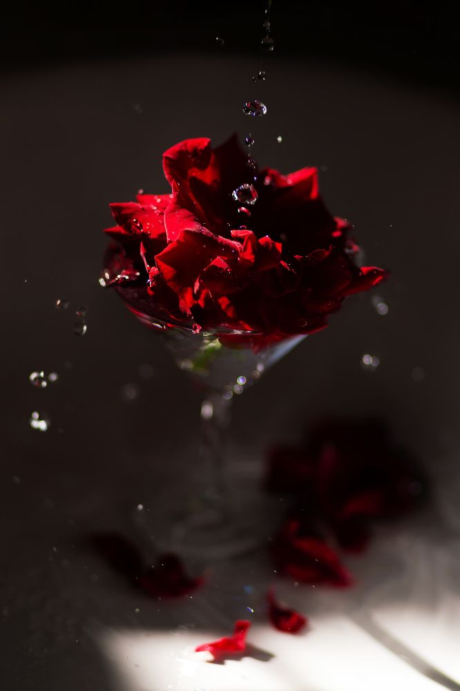 Photograph by Эллина Гауш