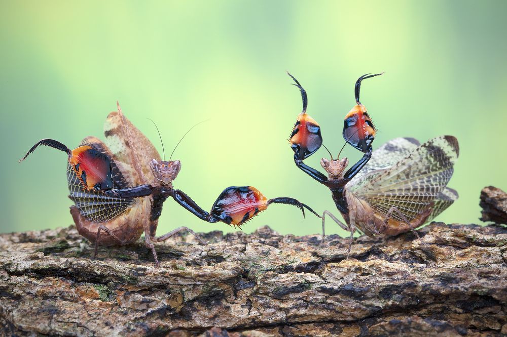 Photograph by way pang