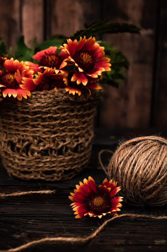 Фотография автора Пищулова Анастасия