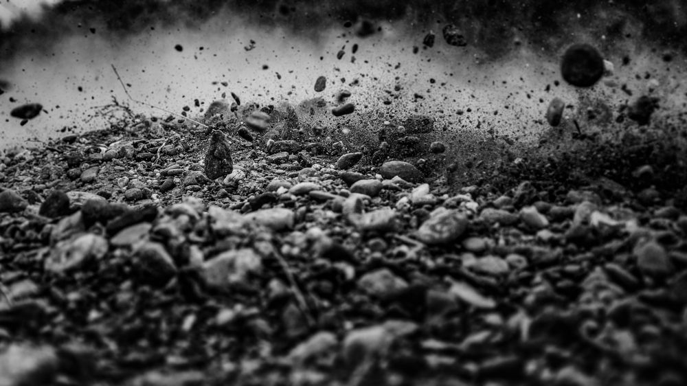 Photograph by Dragan Trosic