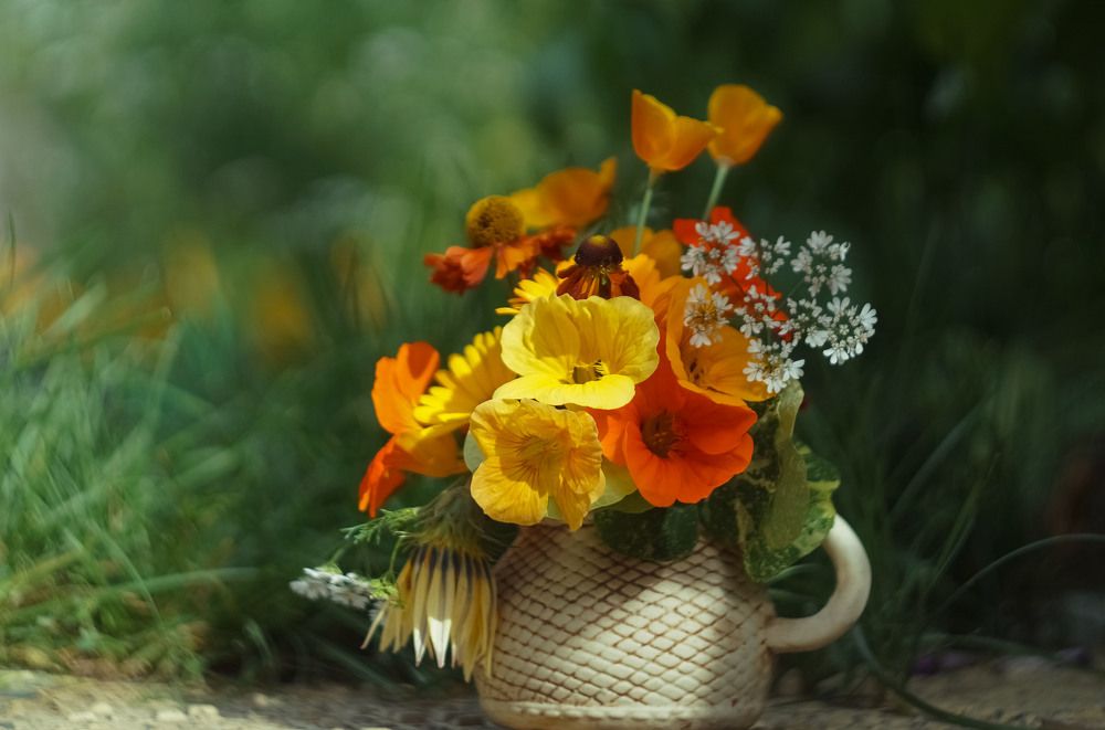 Photograph by Slesareva Nina