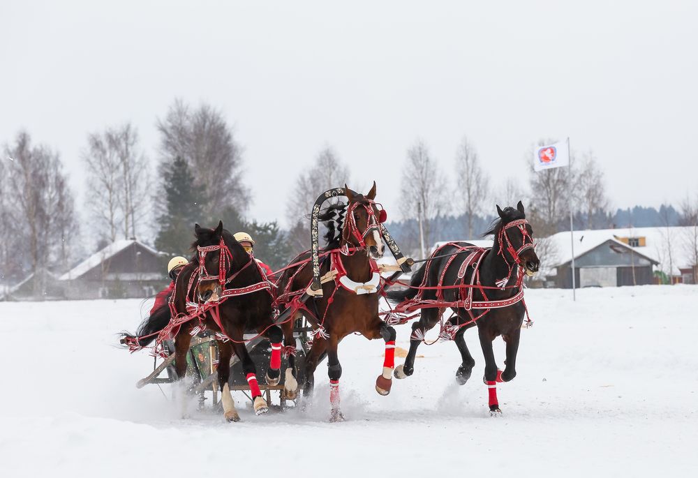 Фотография автора Олег Чернышев