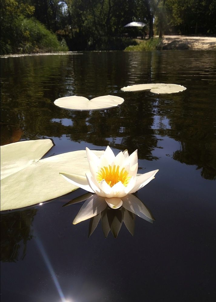 Photograph by Людмила М