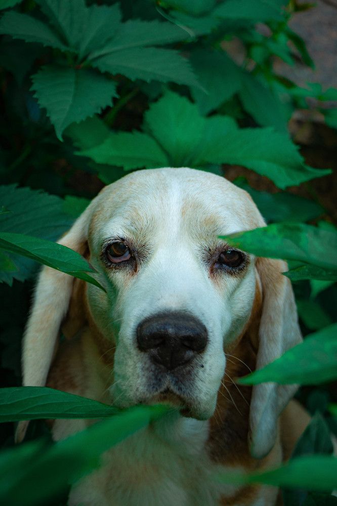 Photograph by Илья Спирин