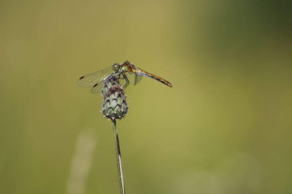 Photograph by Вячеслав Геннадьевич Усков
