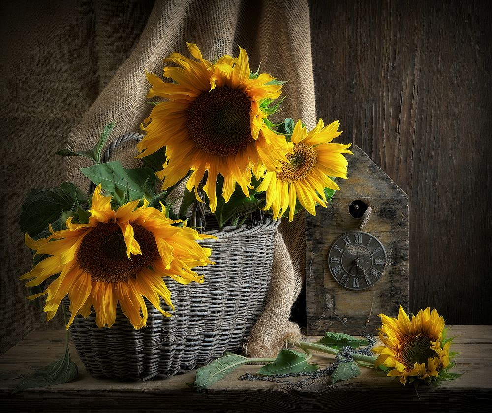 Photograph by Сергей Алексеев