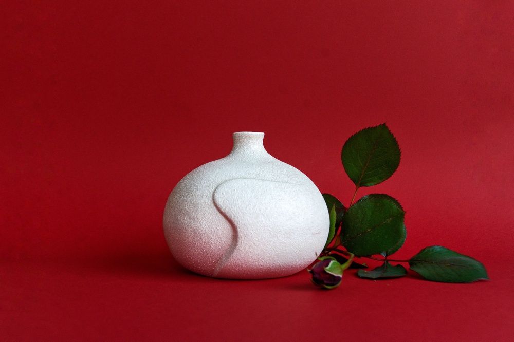 Photograph by Alexandra Sasha