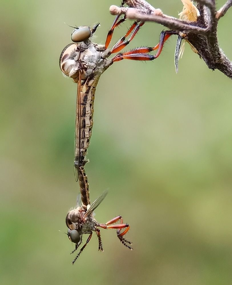 Photograph by Zaki Purnomo