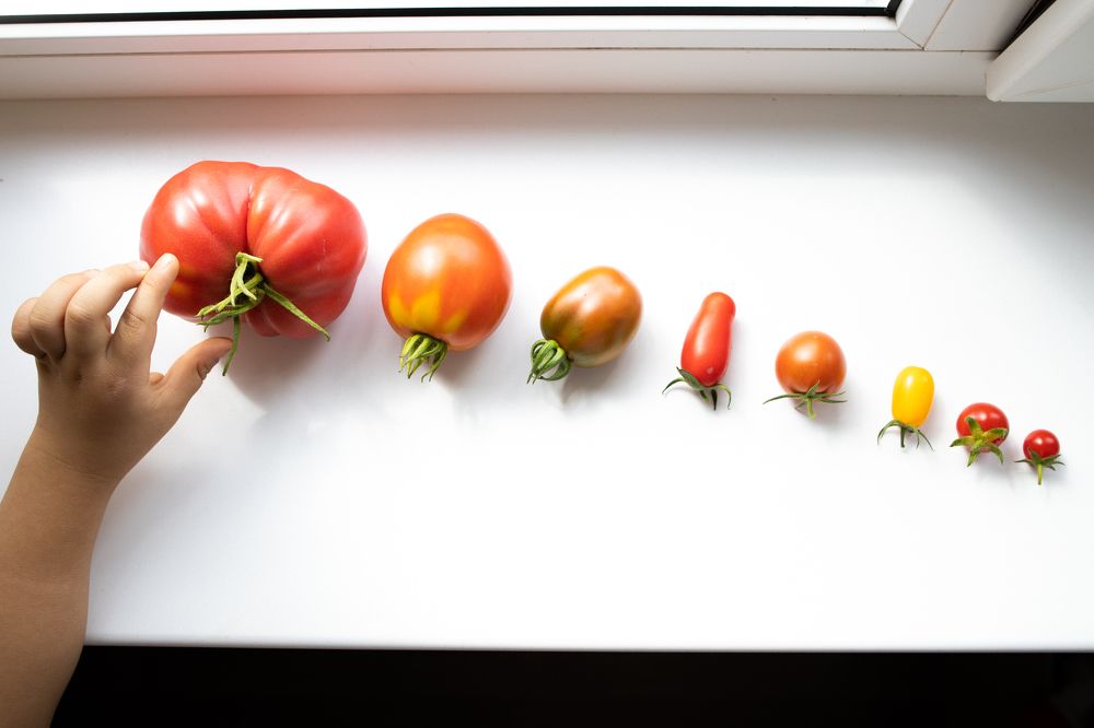 Photograph by Игорь