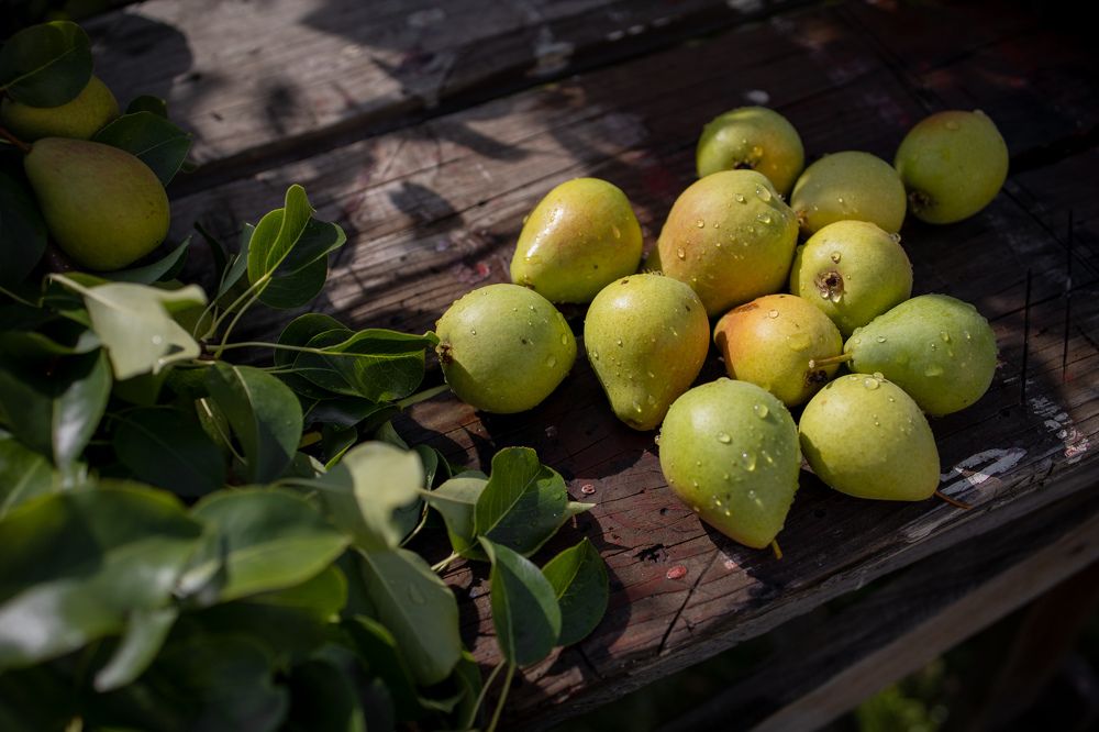 Photograph by Игорь