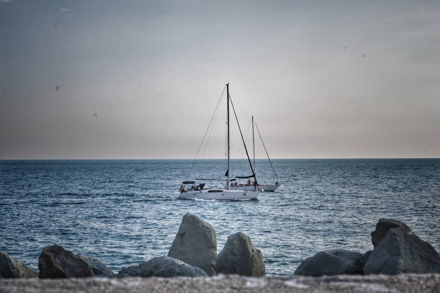 Photo #7914932