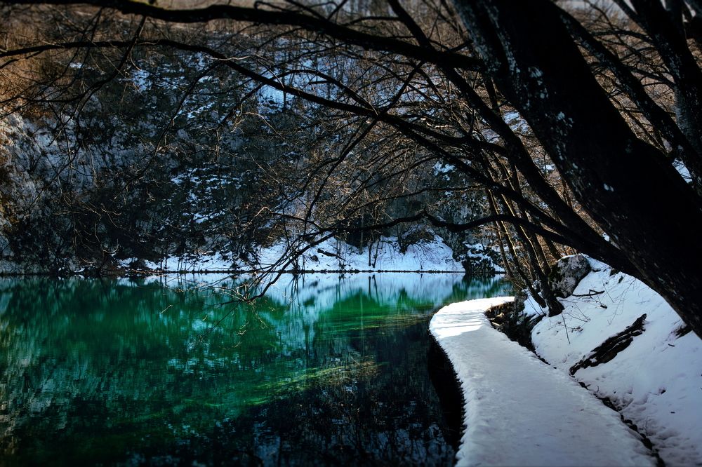 Фотография автора Aricha