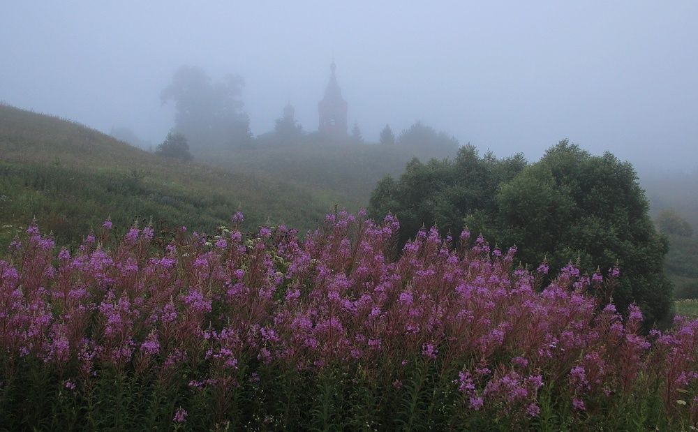 Photograph by Суетинов Евгений