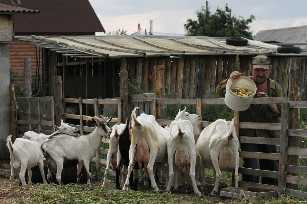 Photograph by Полина Ефимова