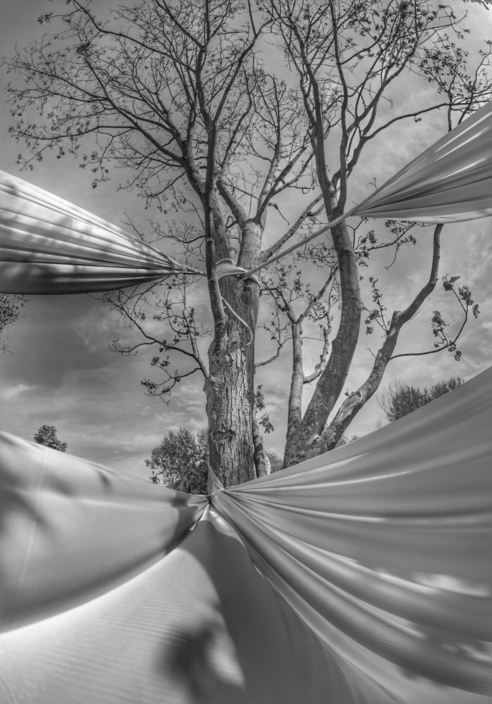 Photograph by Александр Кочергин